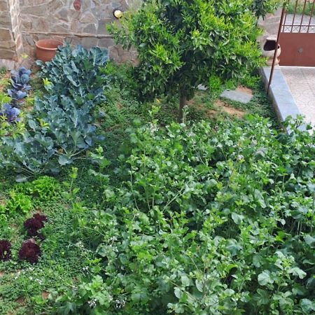 Peaceful House Near Airport Βίλα Pikérmion Εξωτερικό φωτογραφία