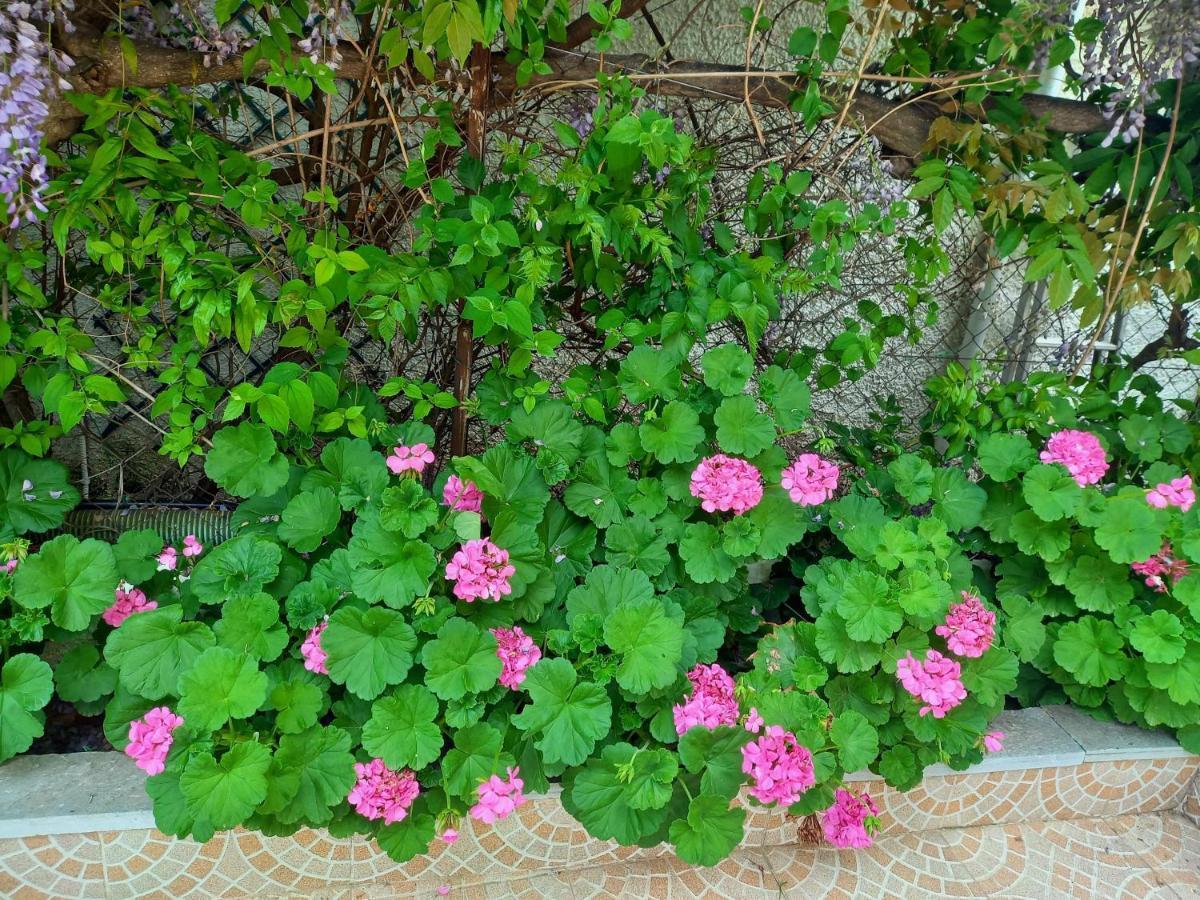 Peaceful House Near Airport Βίλα Pikérmion Εξωτερικό φωτογραφία