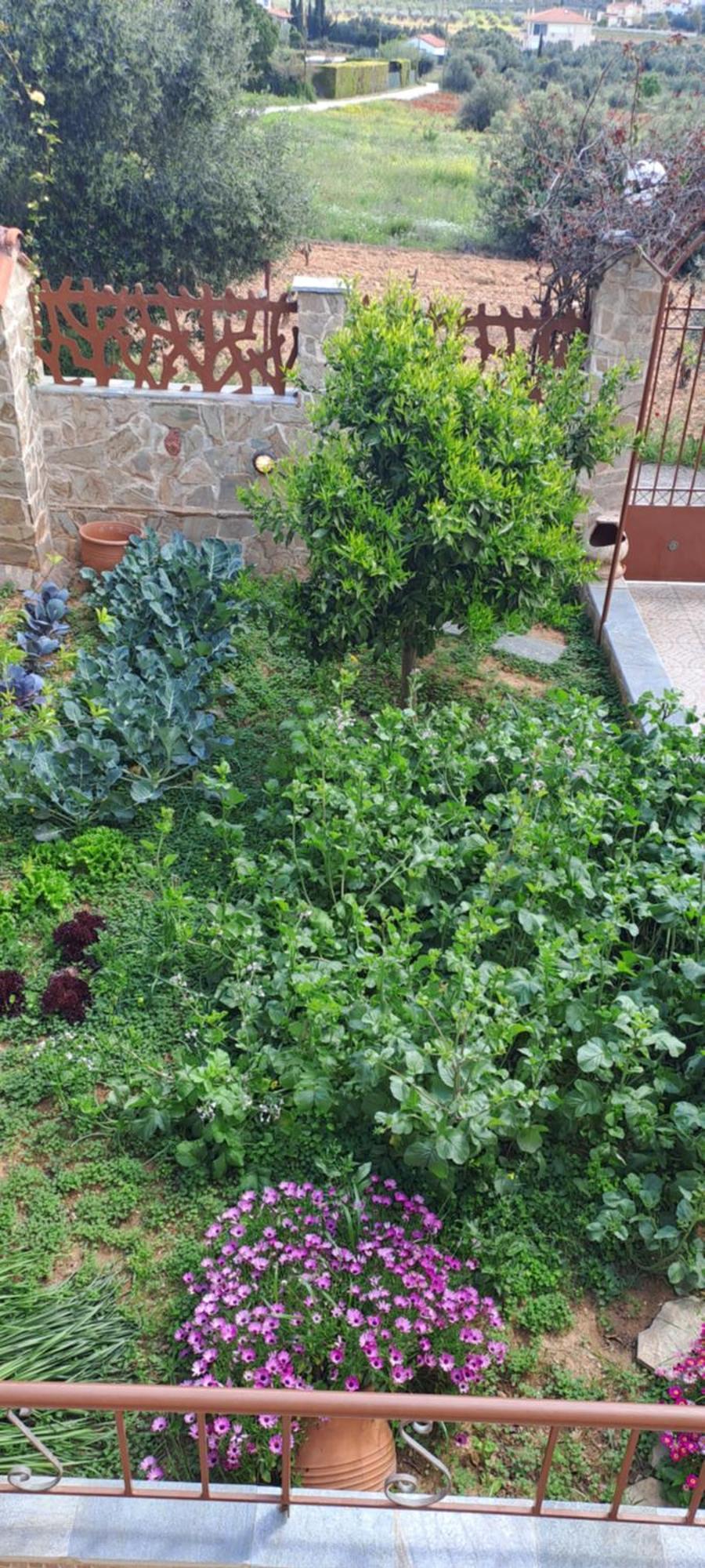 Peaceful House Near Airport Βίλα Pikérmion Εξωτερικό φωτογραφία