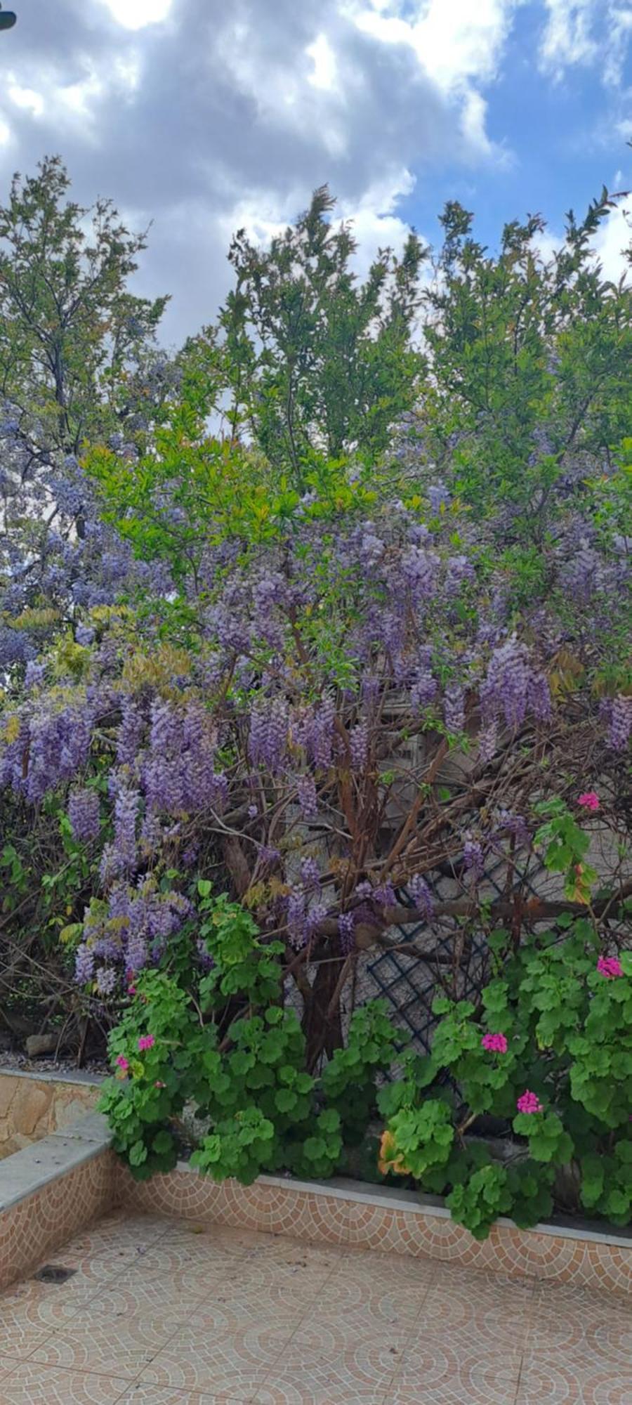 Peaceful House Near Airport Βίλα Pikérmion Εξωτερικό φωτογραφία