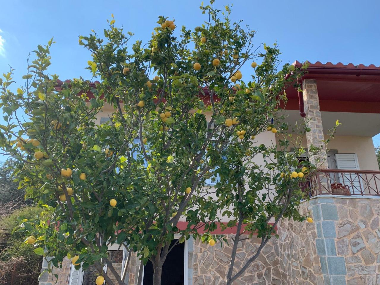 Peaceful House Near Airport Βίλα Pikérmion Εξωτερικό φωτογραφία