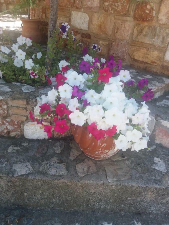 Peaceful House Near Airport Βίλα Pikérmion Εξωτερικό φωτογραφία